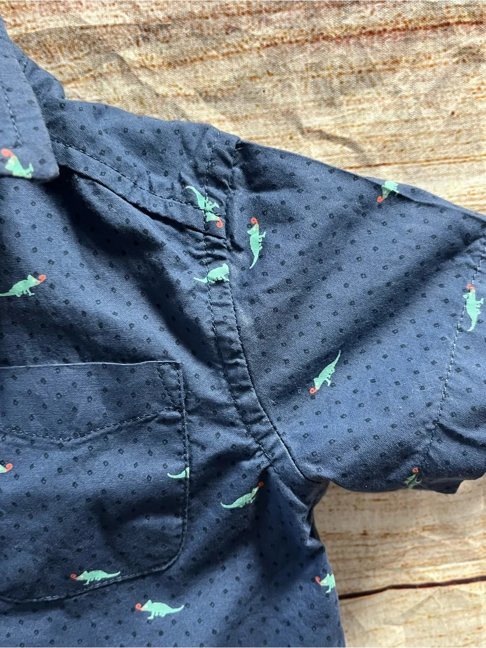 The Children’s Place iguana shirt-Boys 12/18 months